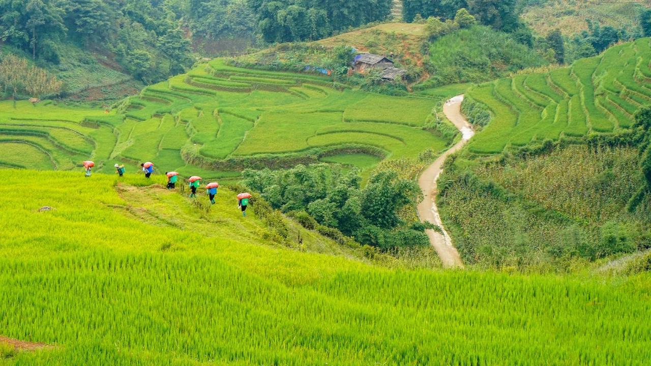 Sapa Fantasea Homestay Экстерьер фото