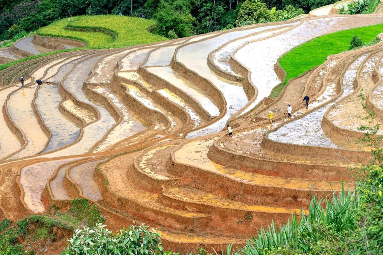 Sapa Fantasea Homestay Экстерьер фото